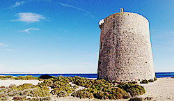 Salinas